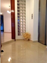 The Blossomvale (D21), Condominium #557722911